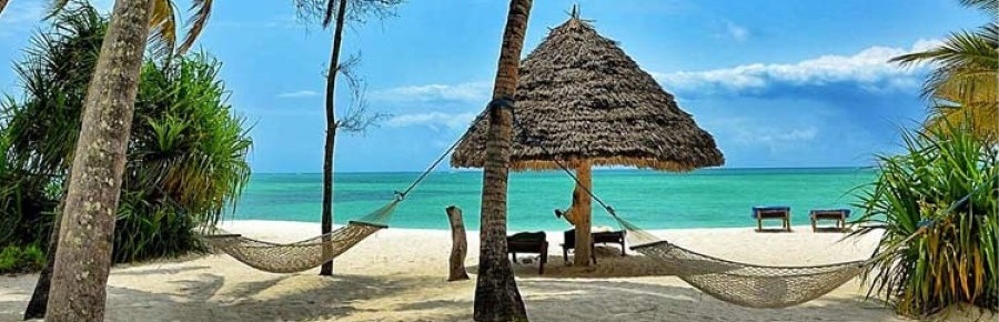 Pongwe-Beach-Zanzibar-Beach-wide.jpg
